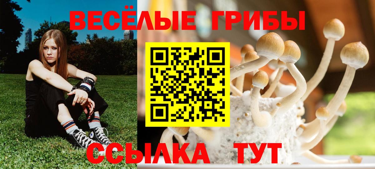 Псилоцибиновые грибы MAGIC MUSHROOMS Королёв