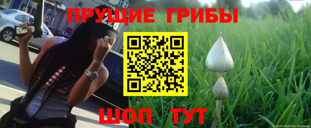 МАРИХУАНА  Амфетамин кристаллы  Вход с VPN  Канабис  Кетамин  Королёв  Гашиш  Alpha PVP СК кристаллы  МЕФ кристаллы 